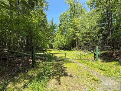 /international/us/browning-lambert-mountain-rock-wv-110108203031/