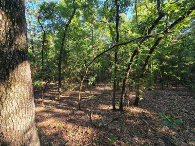 /international/us/000-buzzard-gap-development-wilburton-ok-110100948190/?lang=zh-tw
