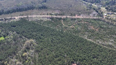 /international/us/007-rose-hill-rd-andalusia-al-110107884872/