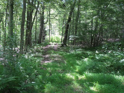 /international/us/42-lake-road-bozrah-ct-110101179831/?lang=zh-cn