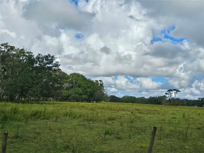 /international/us/00-cr65-bunnell-fl-110098907513/?lang=zh-cn