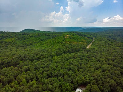 /international/us/00-jackson-point-road-sewanee-tn-110092404864/
