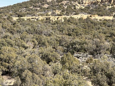 /international/us/county-road-2550-aztec-nm-110097726456/?lang=zh-tw