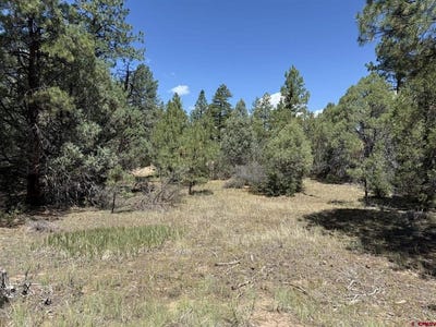 /international/us/124-susan-s-place-pagosa-springs-co-110101307240/?lang=zh-cn
