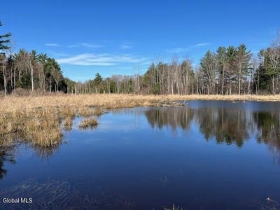 /international/us/l11-1-corbin-hill-road-sloansville-ny-110107161504/