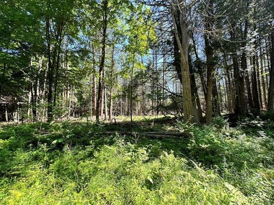 /international/us/mellow-way-lot-5-wilmington-ny-110107687040/