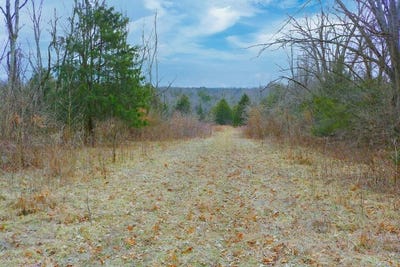 /international/us/990-wolfe-road-falmouth-ky-110100797325/?lang=zh-cn