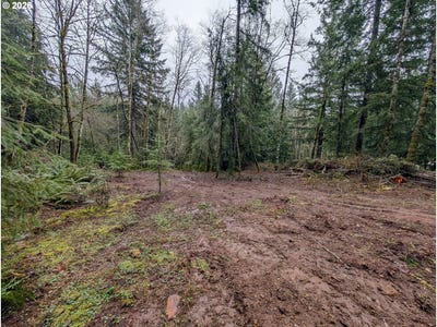 /international/us/ne-berry-rd-battleground-wa-110106069898/