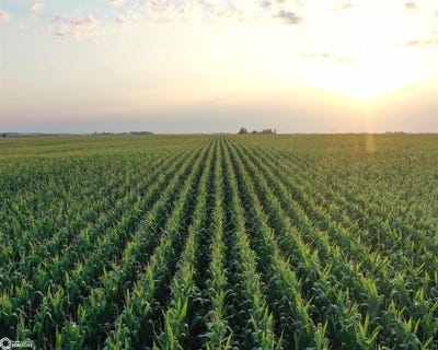 /international/us/400th-street-405th-street-osage-ia-110101425717/