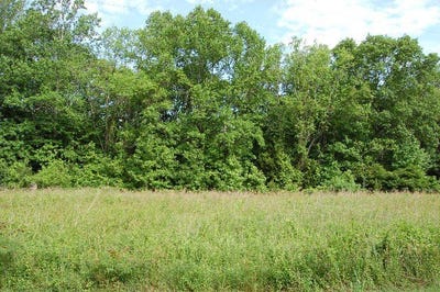 /international/us/lakeview-drive-lot-67-heathsville-va-110097729999/