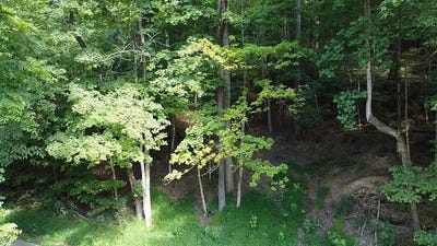 /international/us/coon-hollow-road-lucasville-oh-110119529078/