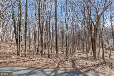 /international/us/3891-greenmeadow-ln-davidsonville-md-110105858392/