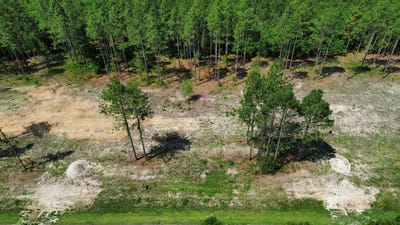 /international/us/0-wilbur-pridgen-rd-harrells-nc-110108467989/