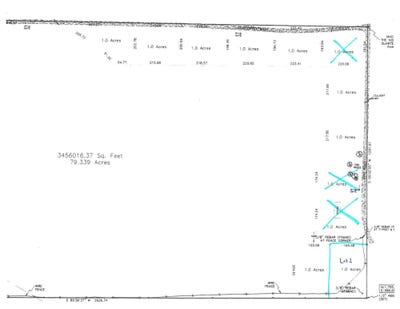 /international/us/lot-2-king-rd-belden-ms-110088436834/