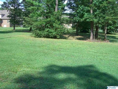 /international/us/wisteria-way-lot-20-scottsboro-al-110089406703/