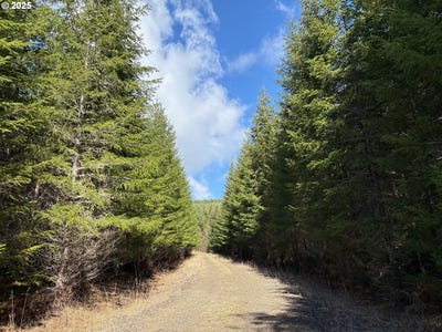 /international/us/boiler-creek-rd-springfield-or-110101638175/