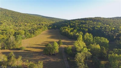 /international/us/16550-n-hwy-59-natural-dam-ar-110119969095/