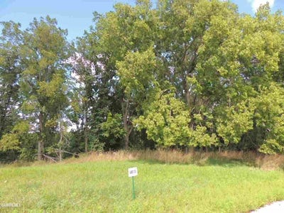 /international/us/sproule-lane-lot-73-galena-il-110069518663/