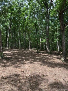 /international/us/17-hardwood-dr-winfield-mo-110108450311/