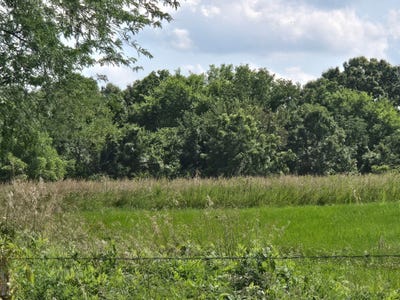 /international/us/state-highway-65-urbana-mo-110109243167/