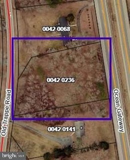/international/us/ocean-gateway-trappe-md-110105084160/