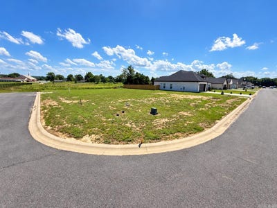 /international/us/28-dandelion-dr-greenbrier-ar-110110423255/