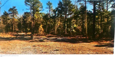 /international/us/120-county-road-1784-lot-62-london-ar-110110280746/