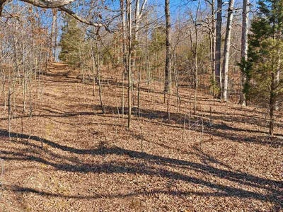 /international/us/6346-little-hickory-road-philpot-ky-110106056019/