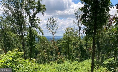/international/us/13477-mountain-road-lovettsville-va-110104600306/
