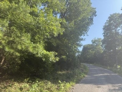 /international/us/tract-2-belew-hollow-hill-rd-waynesboro-tn-110119482482/