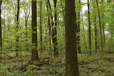 /international/us/miller-road-north-east-ny-110099791121/