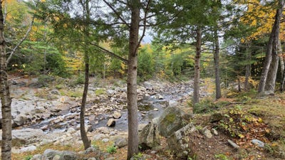 /international/us/1588-roxbury-road-roxbury-me-110120416237/