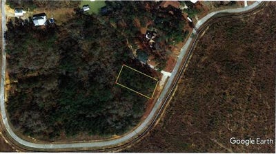 /international/us/0-lakeview-street-lot-59-abbeville-al-110078600693/
