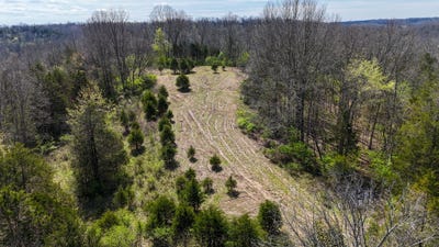 /international/us/215-big-twin-creek-road-worthville-ky-110107210090/