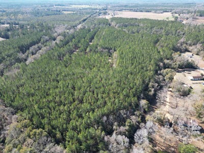 /international/us/old-fannie-road-flomaton-al-110105276394/