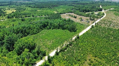 /international/us/006-douglas-mill-road-chesterfield-sc-110100424158/