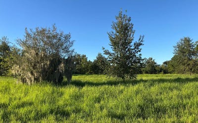 /international/us/11022-nw-38th-drive-jasper-fl-110120499660/