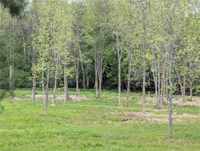 /international/us/16744-lot-2d-thompson-trail-drive-brownville-ny-110099688913/?lang=zh-tw