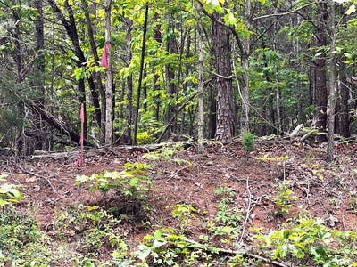 /international/us/old-tower-hill-rd-dillwyn-va-110107040561/