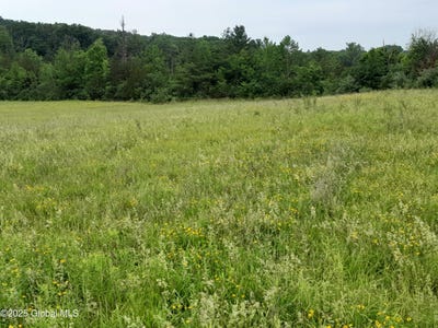 /international/us/l45-roberts-hill-rd-coxsackie-ny-110097354599/