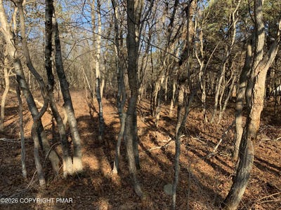 /international/us/chippewa-trail-albrightsville-pa-110120464502/