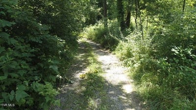 /international/us/0-pocahontas-trail-glade-spring-va-110100917234/?lang=zh-tw