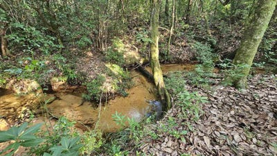 /international/us/2561-creek-chase-trl-pace-fl-110101065767/?lang=zh-tw