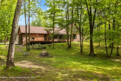 /international/us/48-deer-park-road-cairo-ny-110099673492/