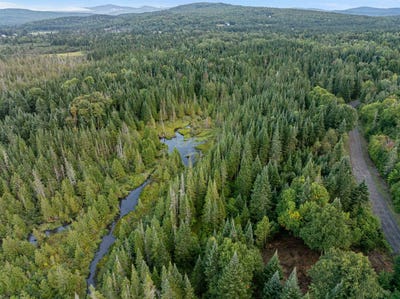 /international/us/wood-yard-crossing-lot-3-pittsburg-nh-110120461998/