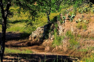 /international/us/3736-6-county-rd-113-llano-tx-110099597720/