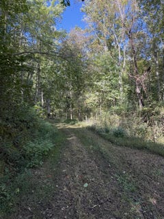 /international/us/theo-proffitt-road-manchester-ky-110120412456/