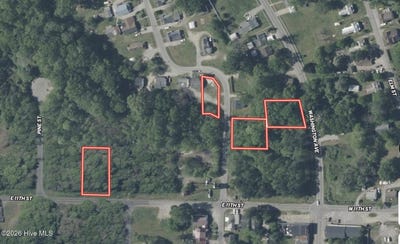 /international/us/30-e-11th-street-lot-30-48-35-39-weldon-mi-110120605531/