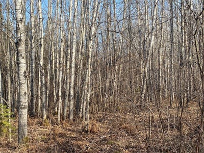 /international/us/near-jackson-road-lake-nebagamon-wi-110119753311/
