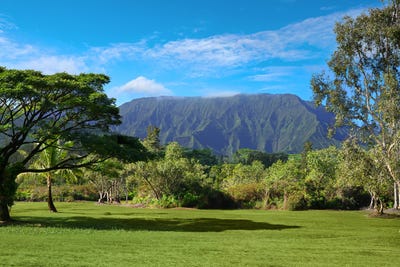 /international/us/2818-kamookoa-rd-kilauea-hi-110102737783/